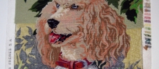 Poodle, collected from eBay, April 2009